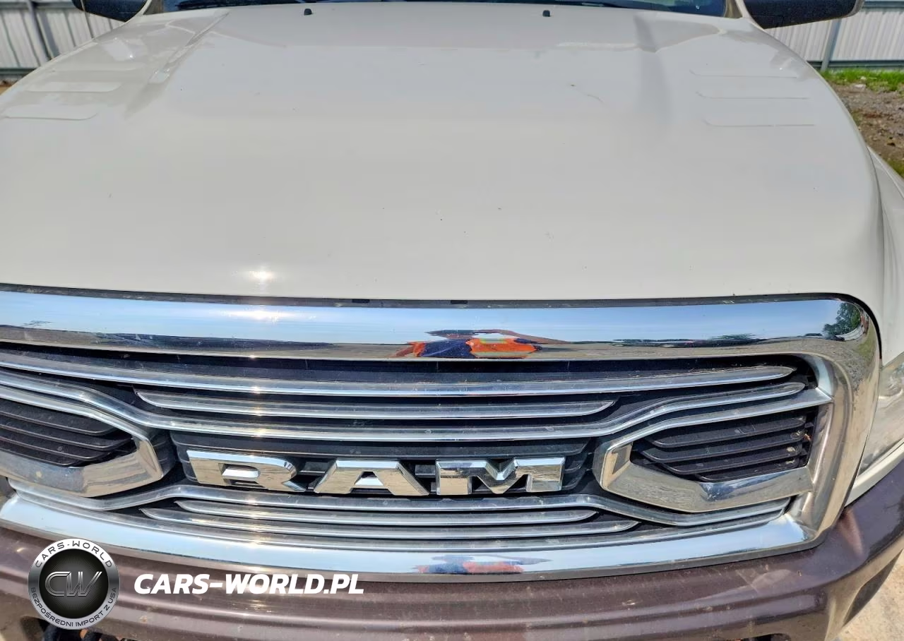 2018 Ram 2500 Longhorn VIN:3C6UR5GL3JG351932 - 11