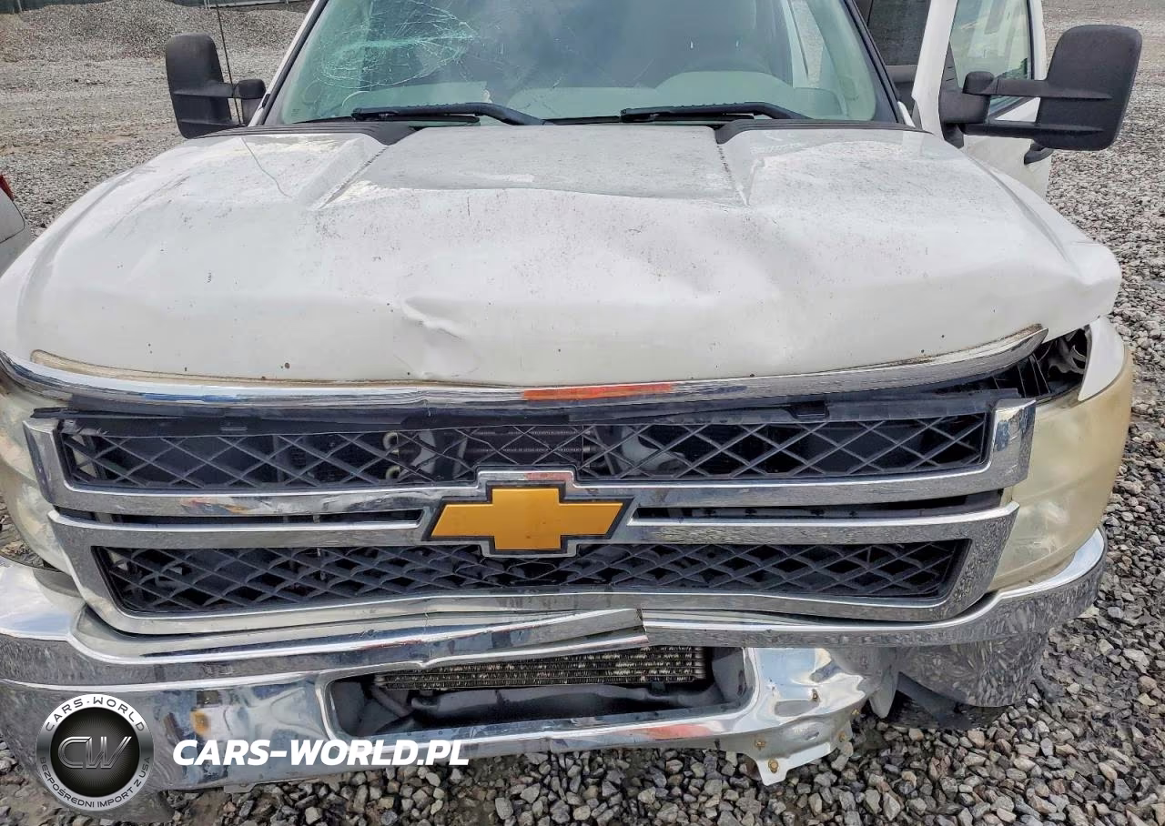 2013 Chevrolet Silverado K2500 Heavy Duty VIN:1GC2KVCG9DZ325885 - 11