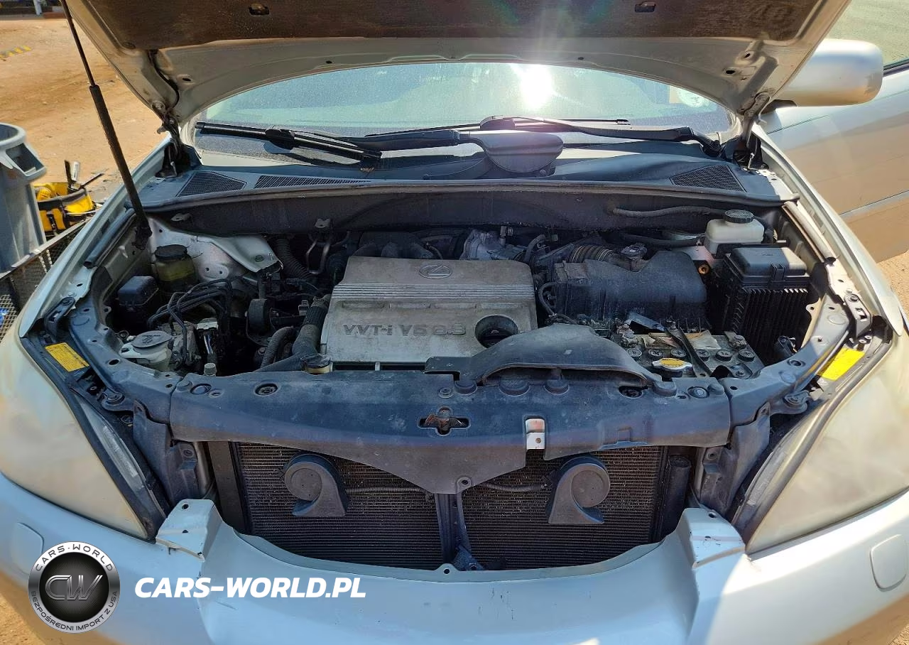2005 Lexus Rx 330 VIN:2T2HA31U25C070563 - 11