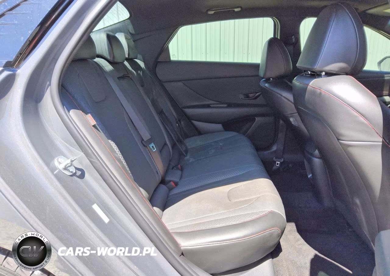 2025 Hyundai Elantra N Line VIN:KMHLR4DF7SU041709 - 10