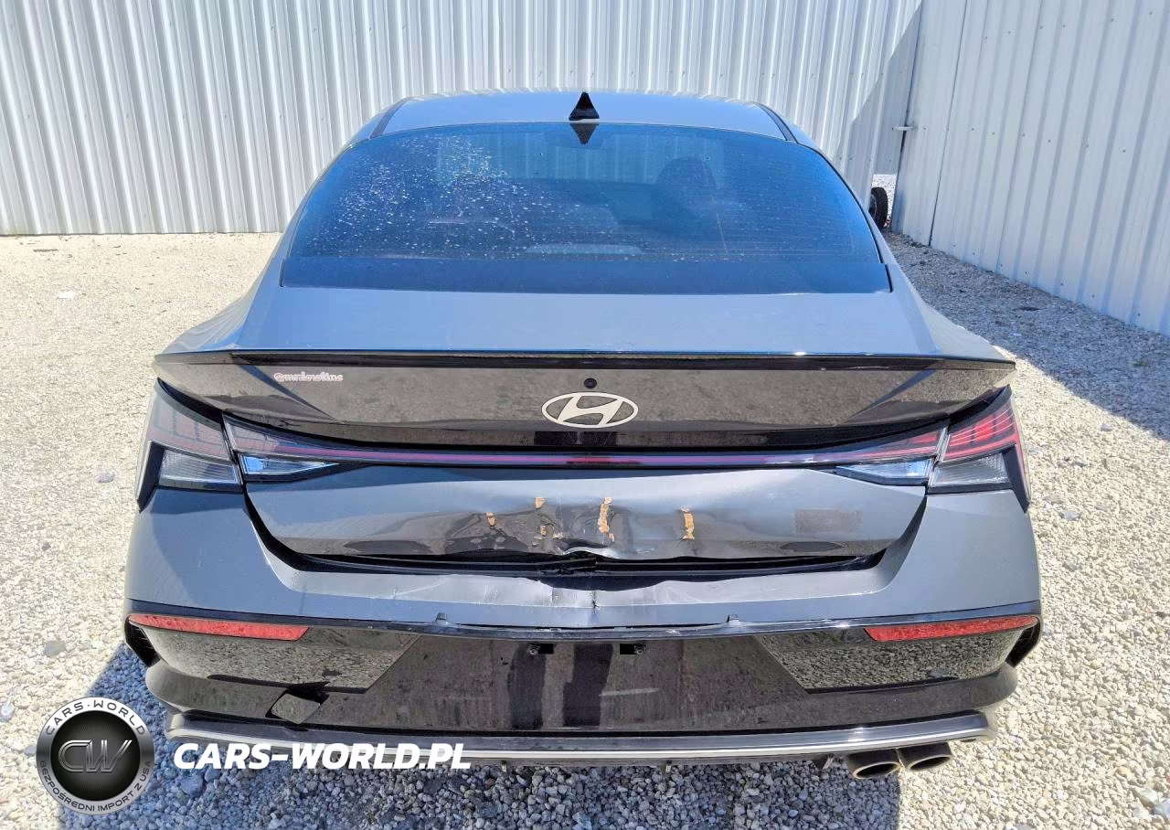2025 Hyundai Elantra N Line VIN:KMHLR4DF7SU041709 - 6