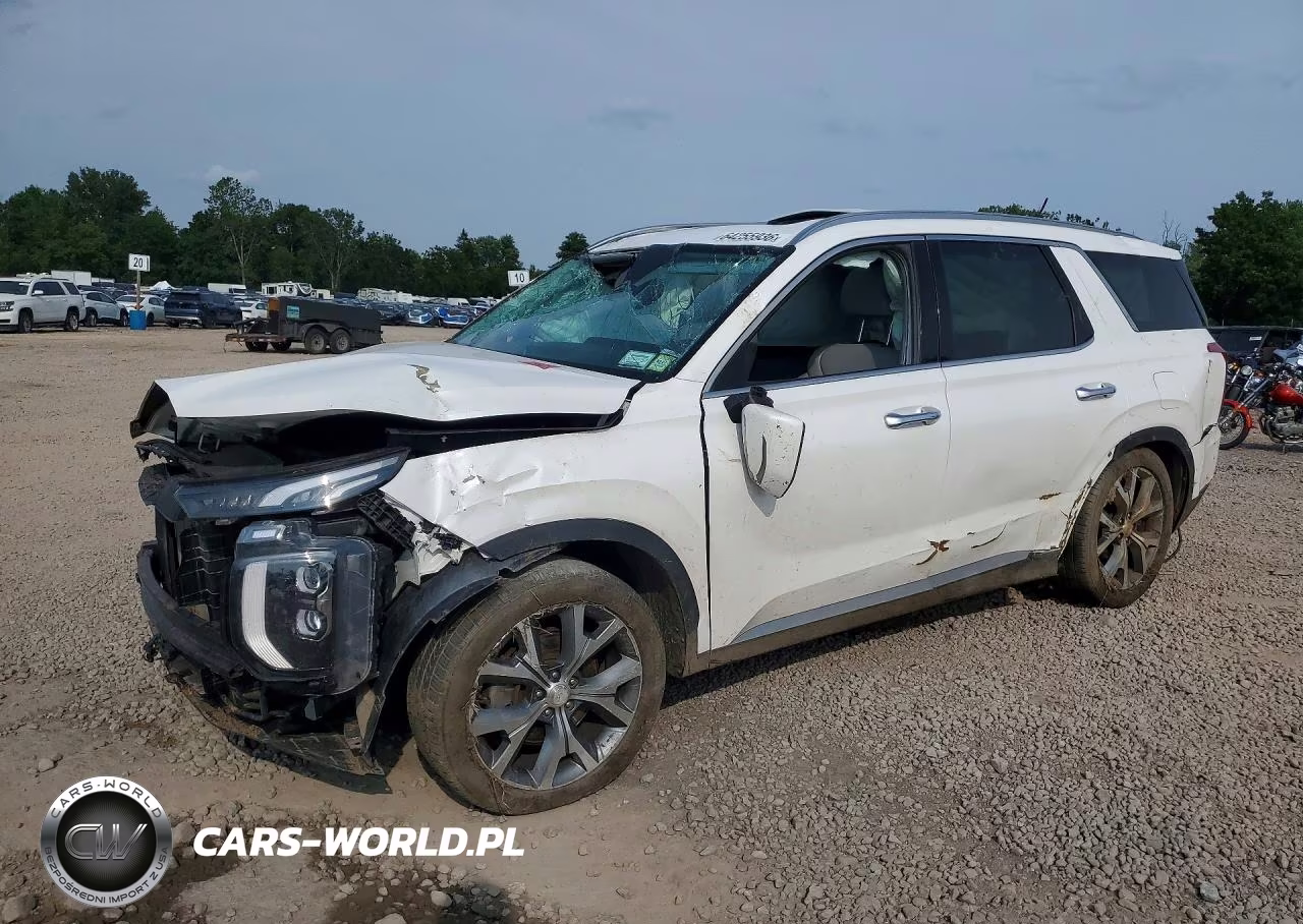 2020 Hyundai Palisade Sel – zdjęcie 1 z 13