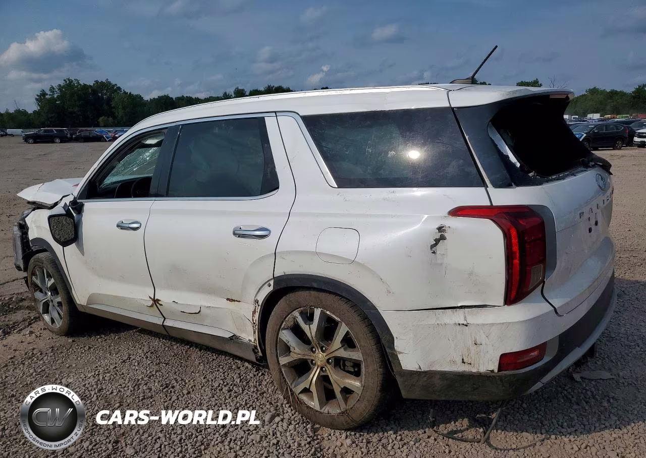 2020 Hyundai Palisade Sel VIN:KM8R4DHE4LU077515 - 2
