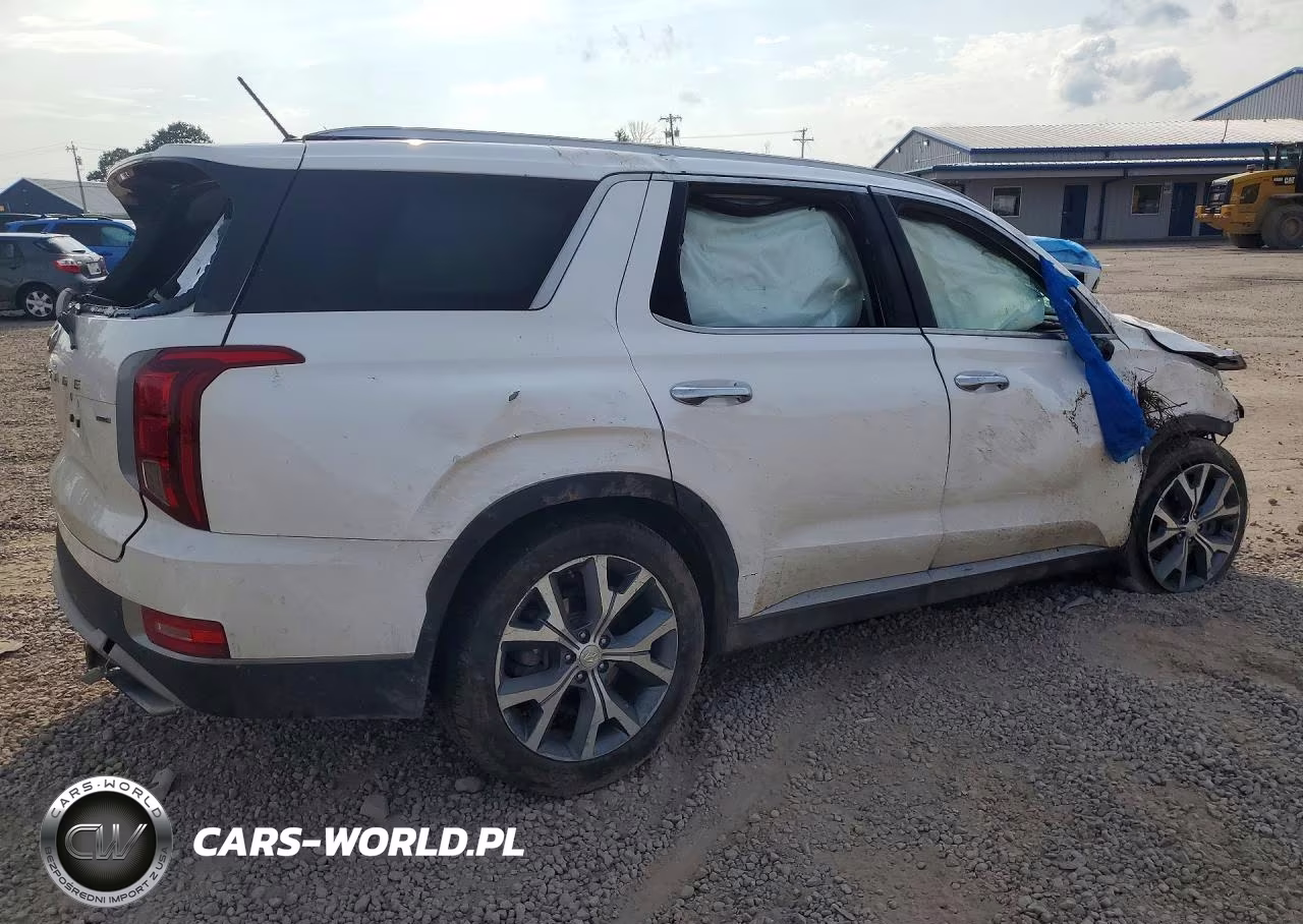 2020 Hyundai Palisade Sel VIN:KM8R4DHE4LU077515 - 3