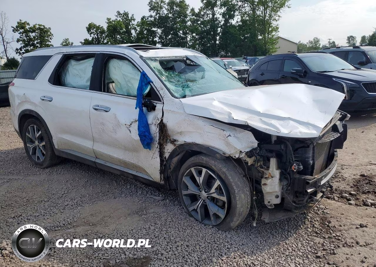 2020 Hyundai Palisade Sel VIN:KM8R4DHE4LU077515 - 4