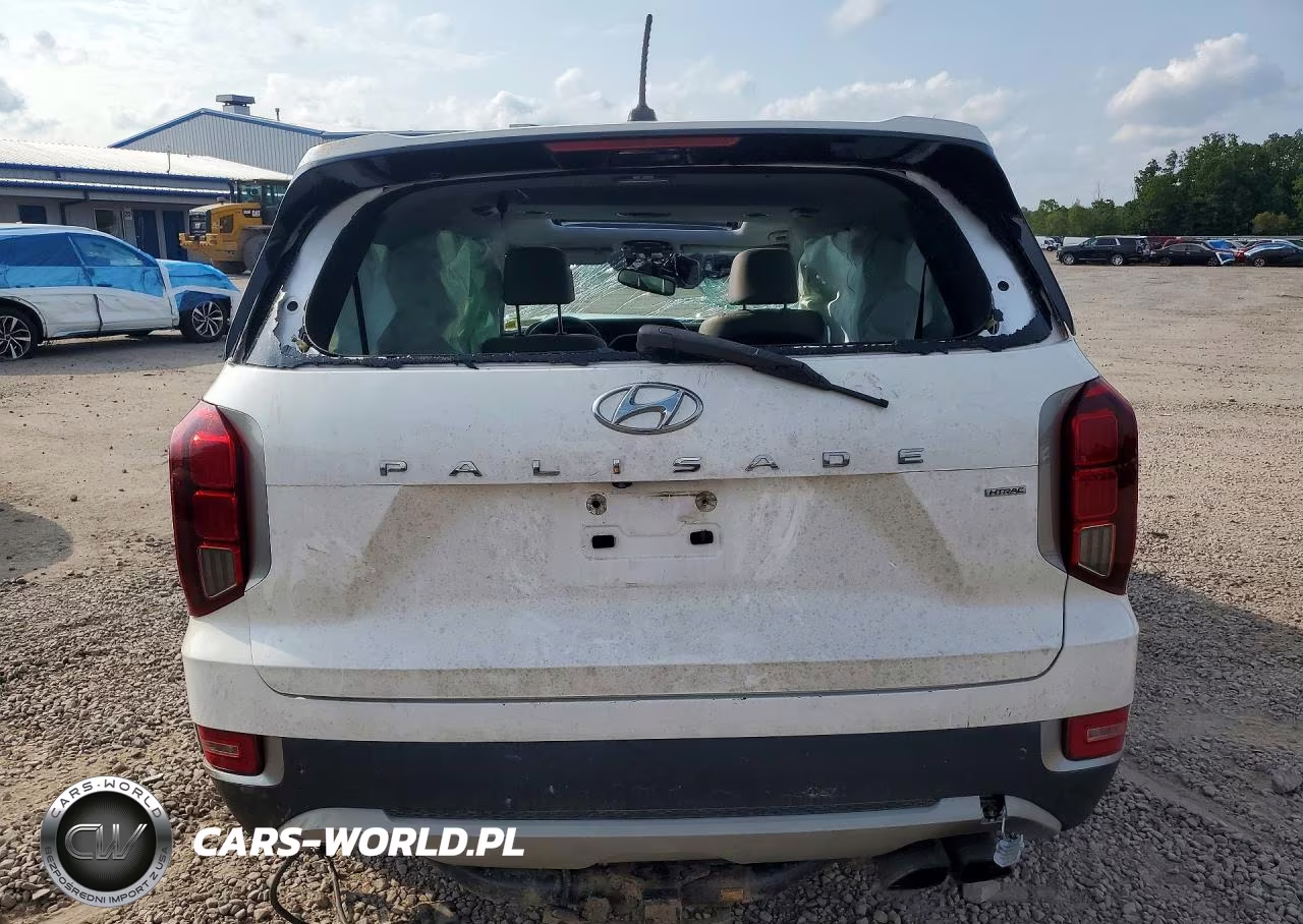 2020 Hyundai Palisade Sel VIN:KM8R4DHE4LU077515 - 6