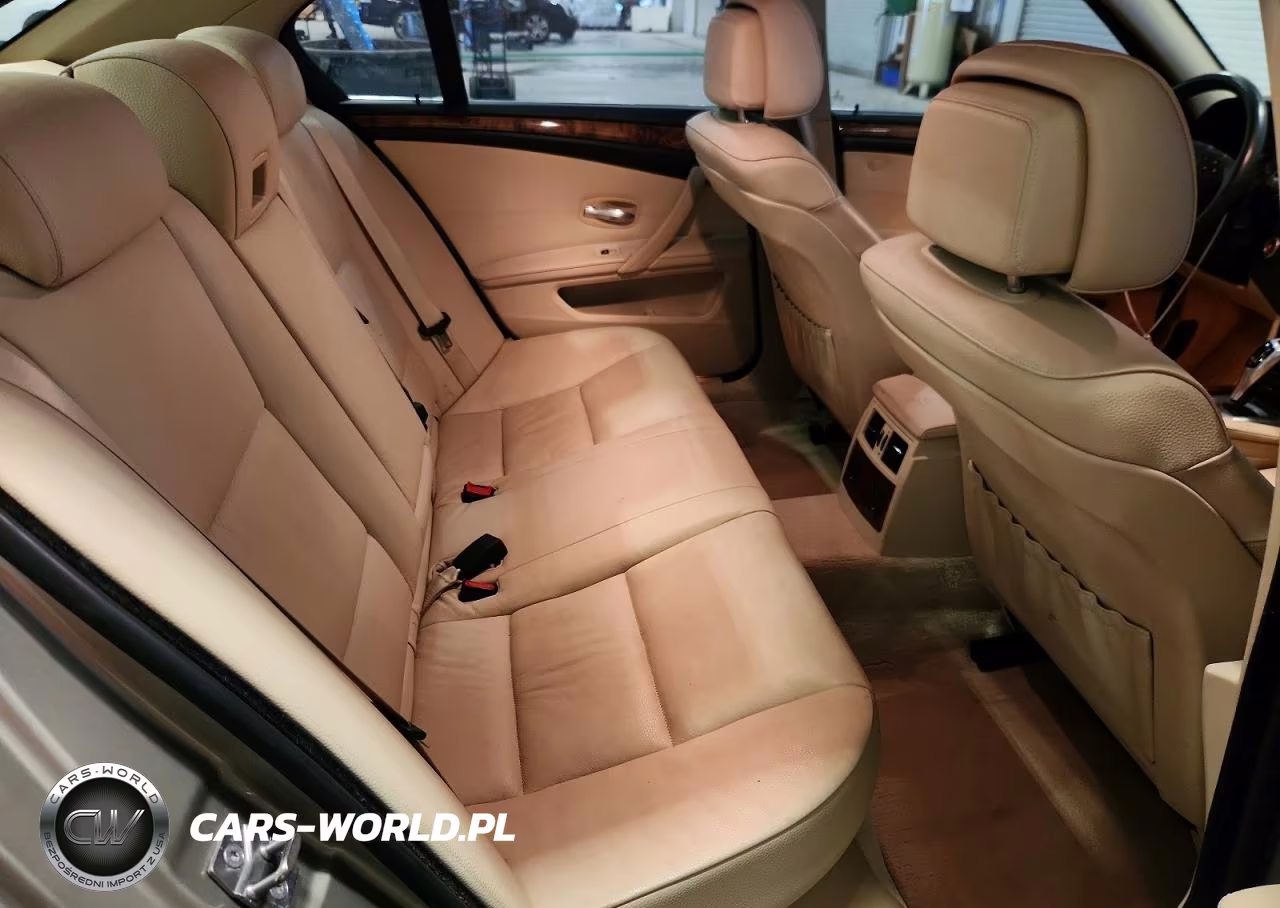 2010 BMW 528 Xi VIN:WBANV1C51AC159983 - 10