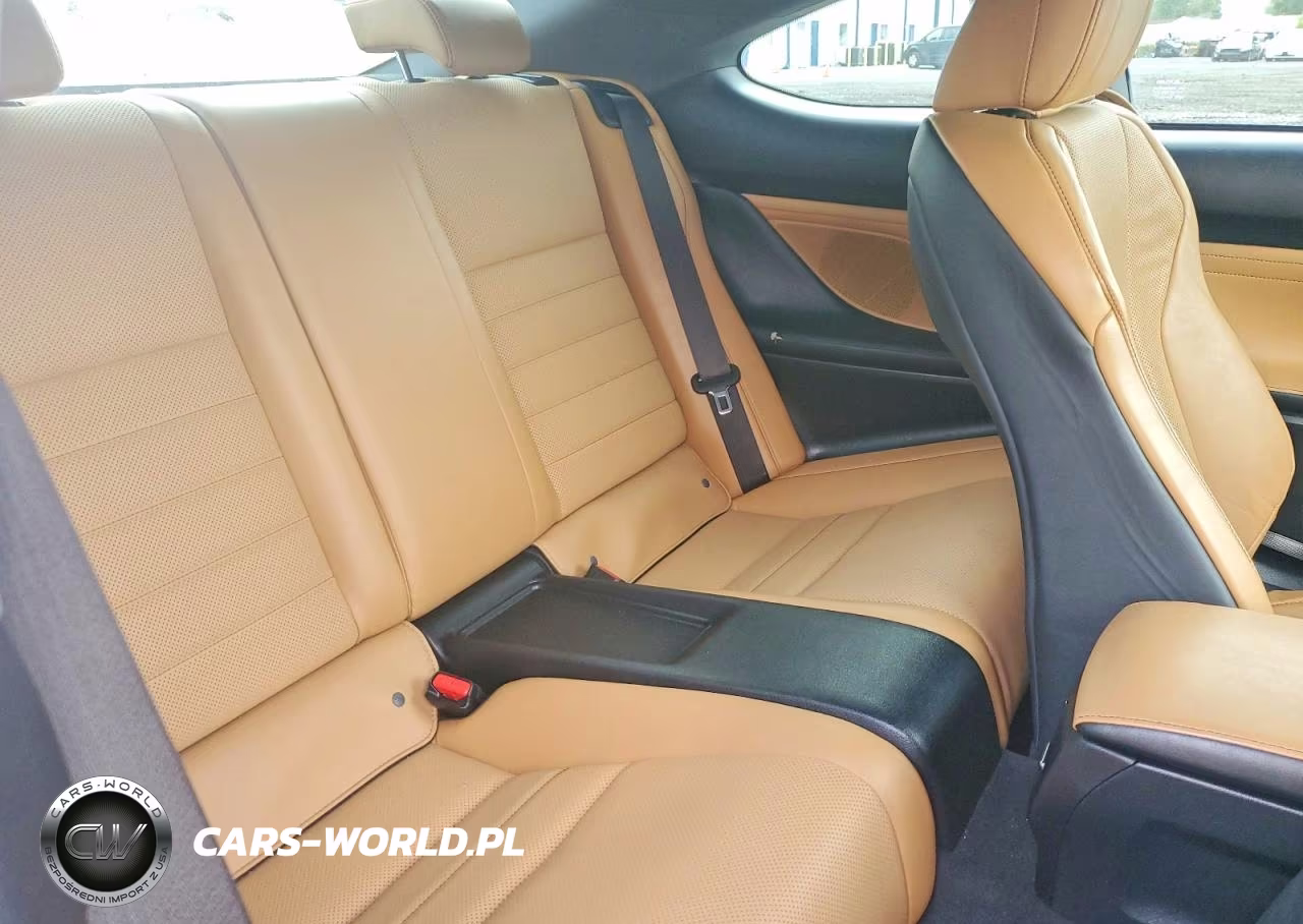 2017 Lexus Rc 300 VIN:JTHSM5BC5H5003863 - 10
