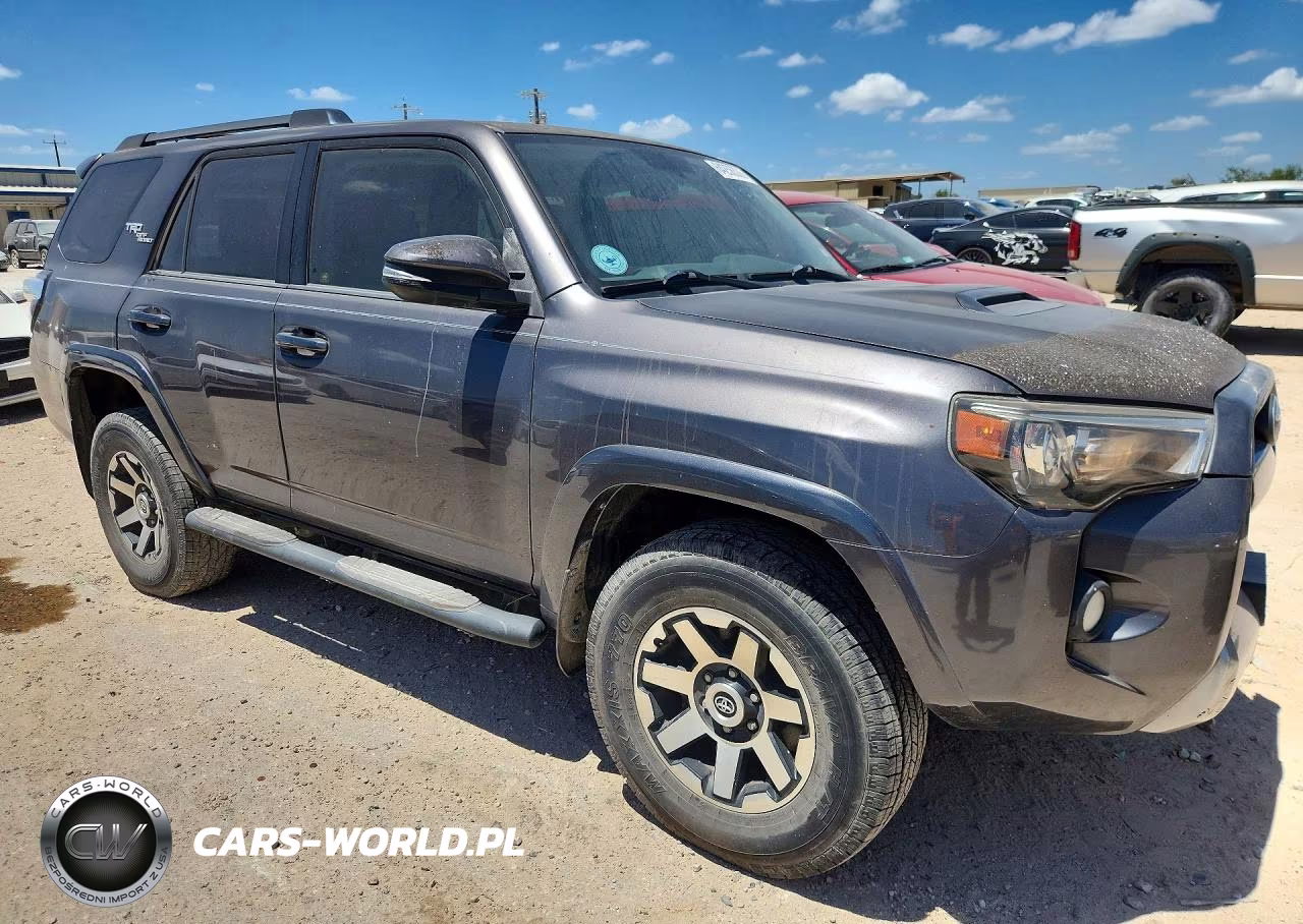 2019 Toyota 4Runner Trd Off-Road Premium VIN:JTEBU5JR4K5649664 - 4