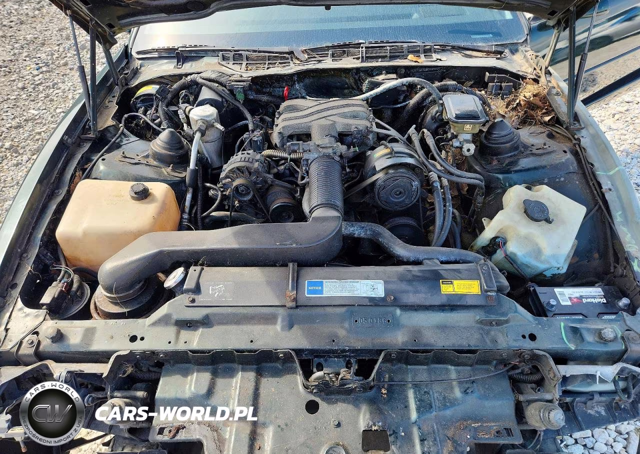1992 Pontiac Firebird VIN:1G2FS23T5NL215440 - 11