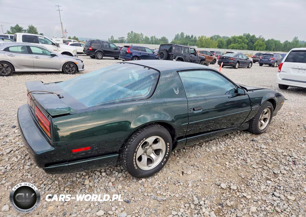 1992 Pontiac Firebird VIN:1G2FS23T5NL215440 - 3