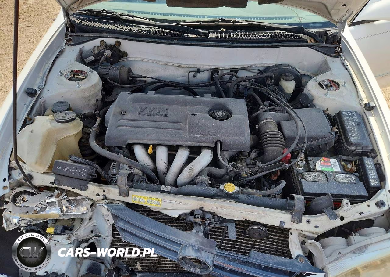 2001 Toyota Corolla Le VIN:1NXBR12E61Z429520 - 11
