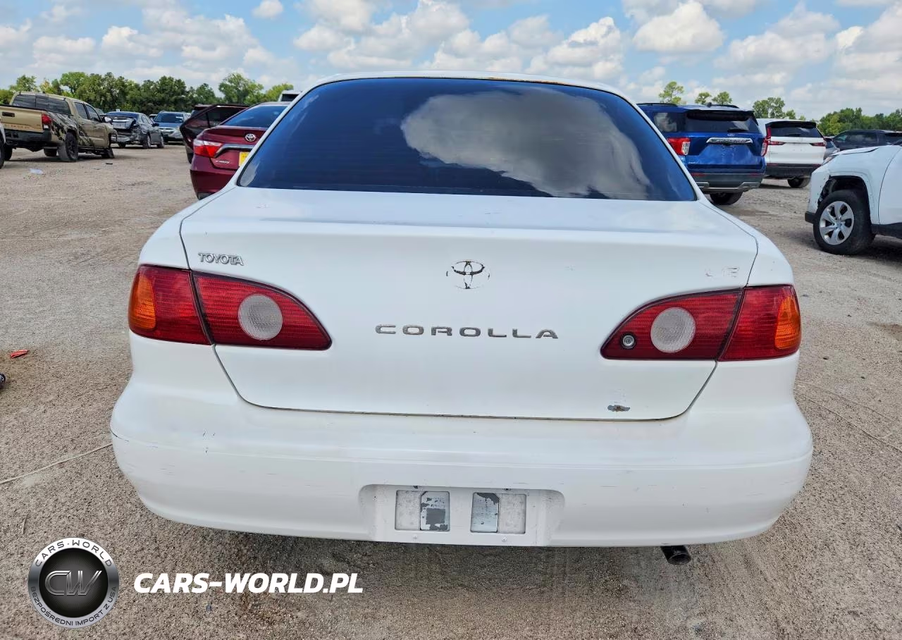 2001 Toyota Corolla Le VIN:1NXBR12E61Z429520 - 6