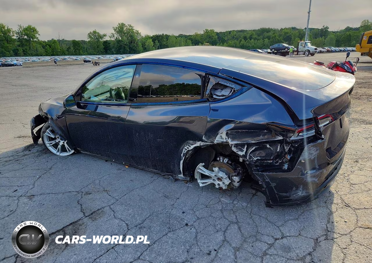 2024 Tesla Model Y VIN:7SAYGDEE0RF995133 - 2