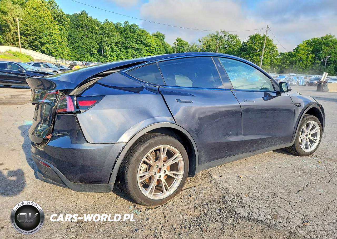 2024 Tesla Model Y VIN:7SAYGDEE0RF995133 - 3
