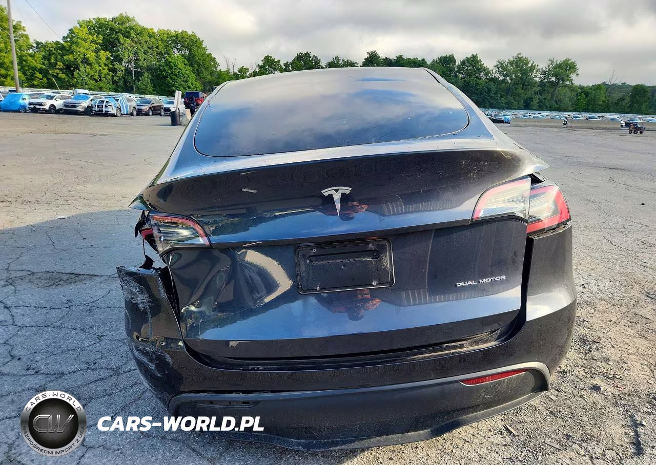 2024 Tesla Model Y VIN:7SAYGDEE0RF995133 - 6