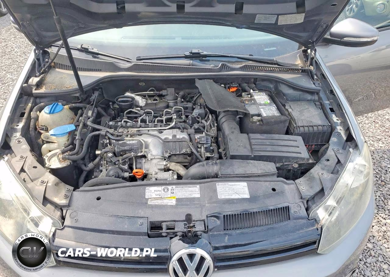 2013 Volkswagen Golf VIN:WVWDM7AJ4DW062106 - 11