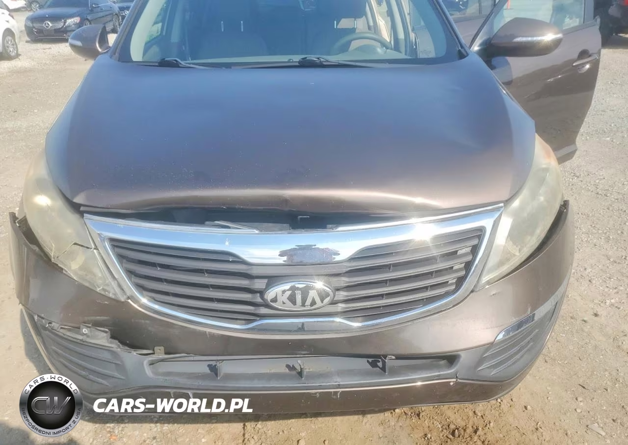 2013 Kia Sportage Lx VIN:KNDPB3A2XD7509942 - 12