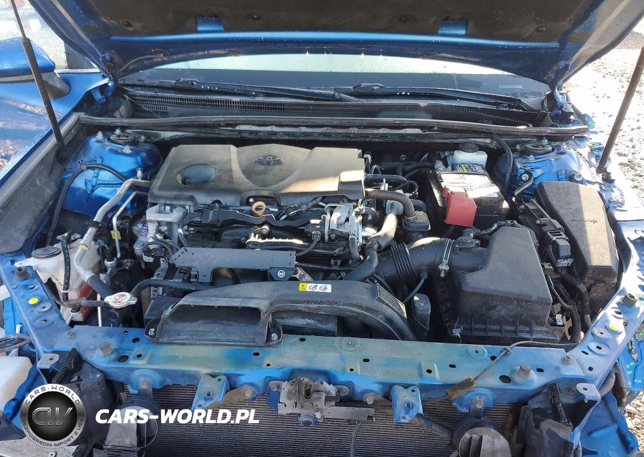 2019 Toyota Camry Se VIN:4T1B11HK6KU247225 - 11