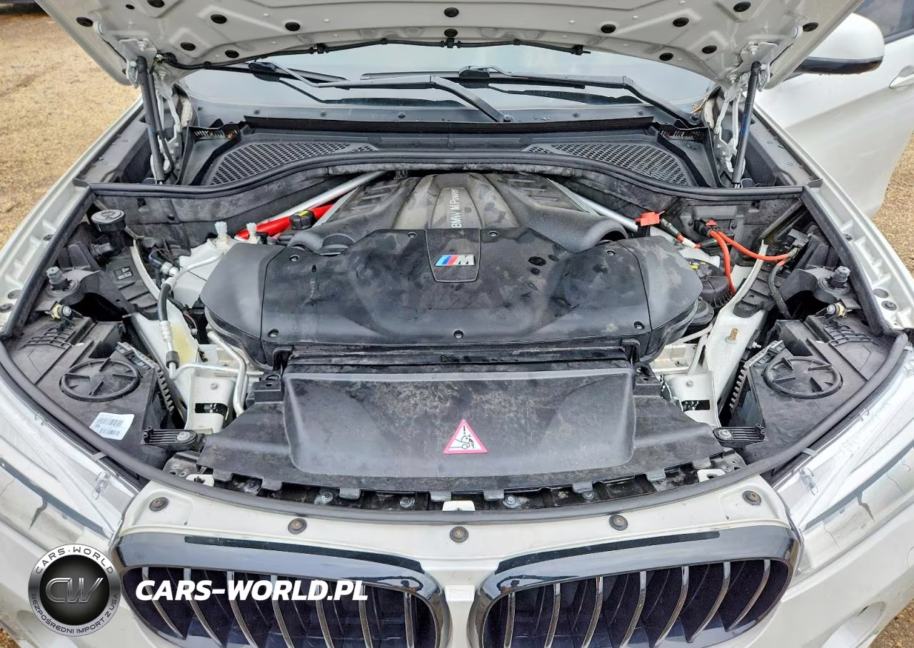 2017 BMW X6 M VIN:5YMKW8C32H0U72456 - 12