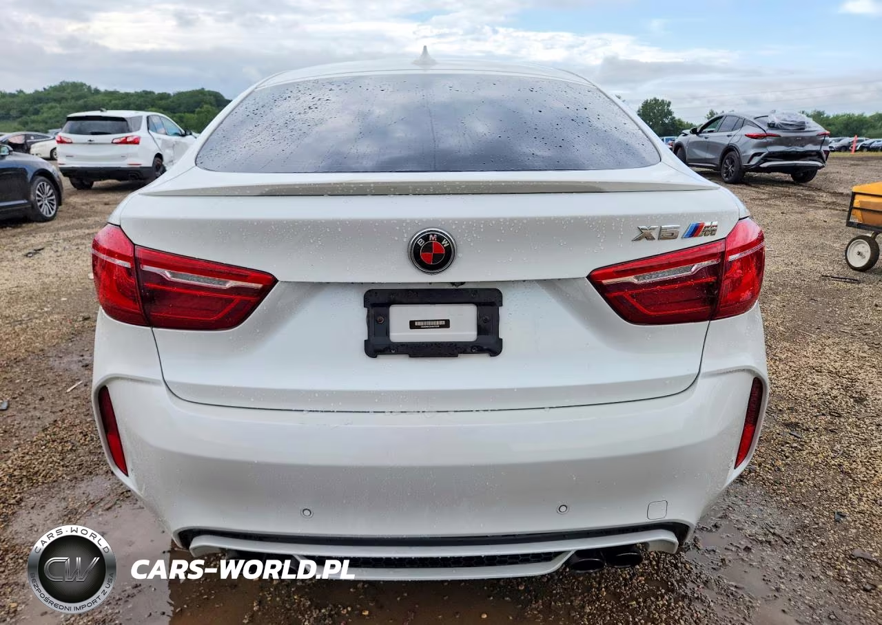 2017 BMW X6 M VIN:5YMKW8C32H0U72456 - 6