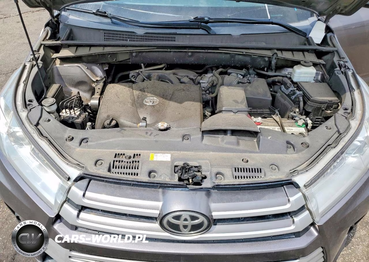 2019 Toyota Highlander Xle VIN:5TDJZRFH1KS713176 - 11