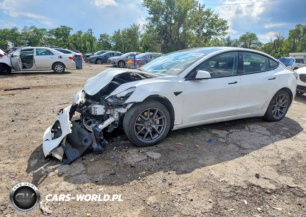 2023 Tesla Model 3 VIN:5YJ3E1EA4PF489469 - 1