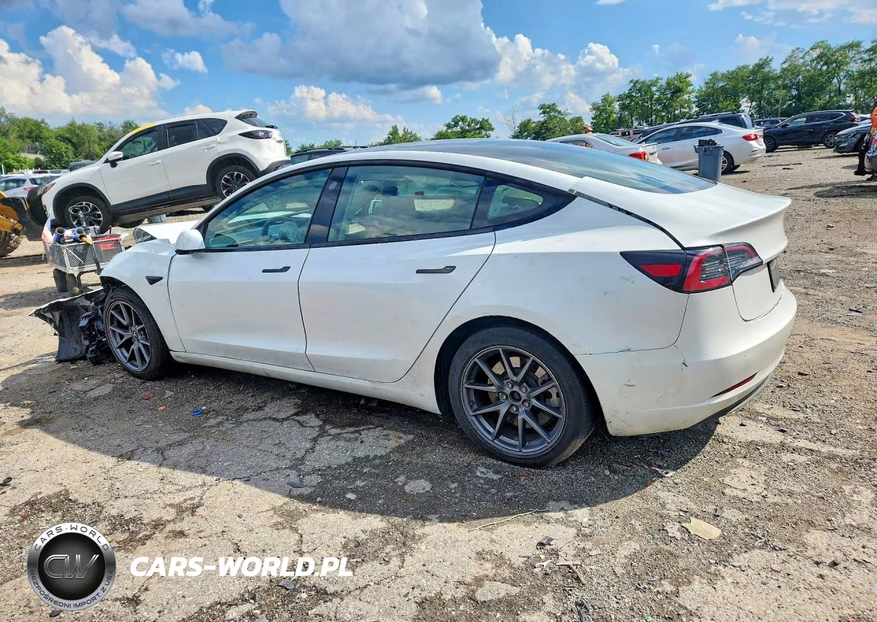 2023 Tesla Model 3 VIN:5YJ3E1EA4PF489469 - 2