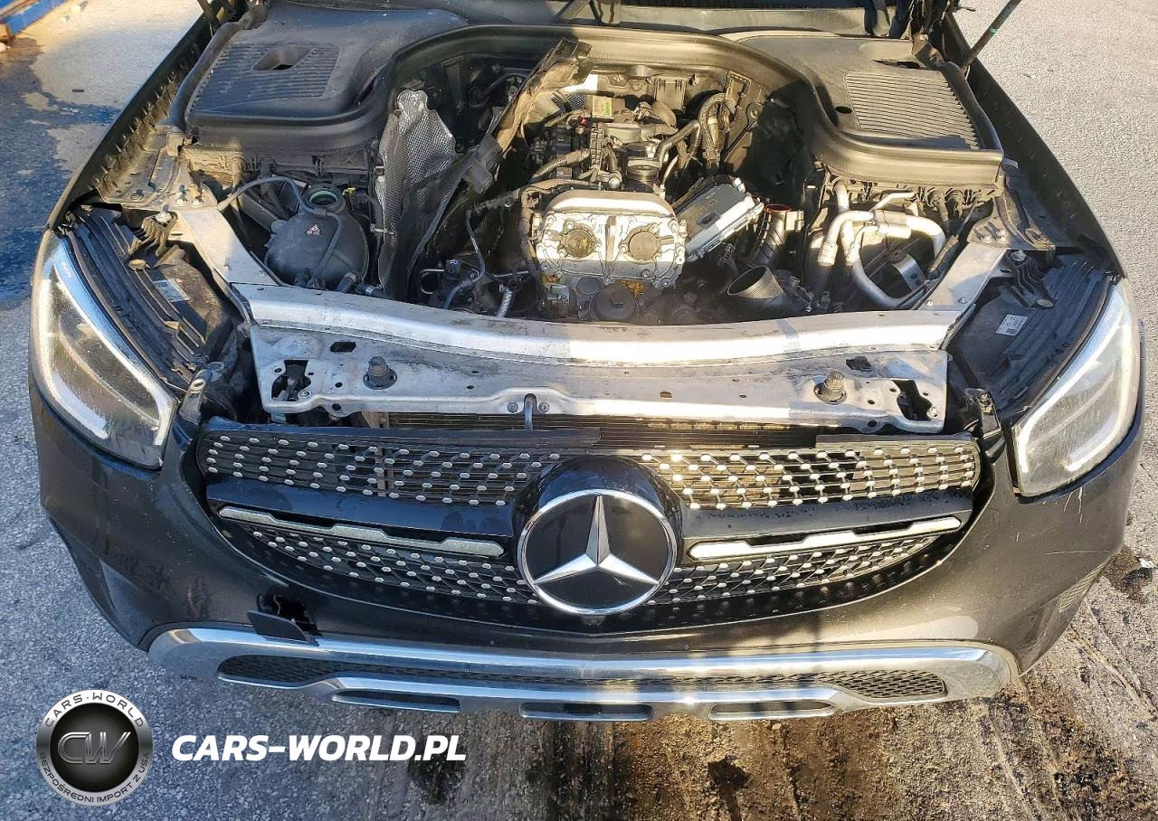 2020 Mercedes-Benz Glc 300 VIN:W1N0G8DB4LF779273 - 12