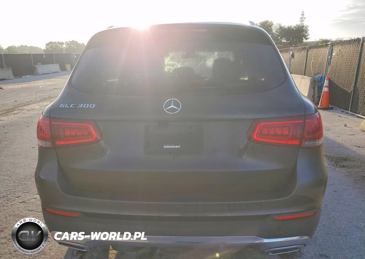 2020 Mercedes-Benz Glc 300 VIN:W1N0G8DB4LF779273 - 6