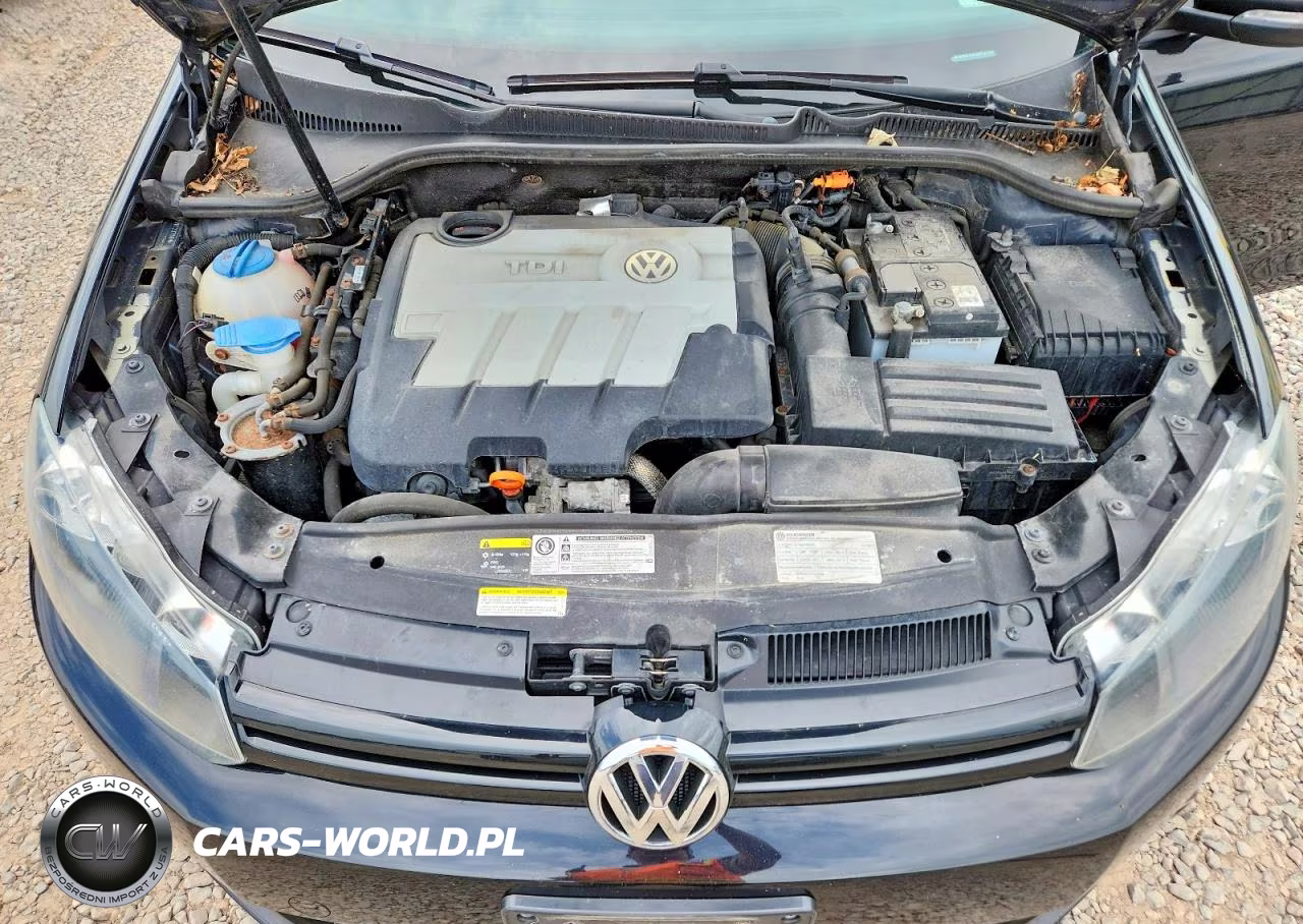 2013 Volkswagen Golf VIN:WVWNM7AJ1DW123786 - 11
