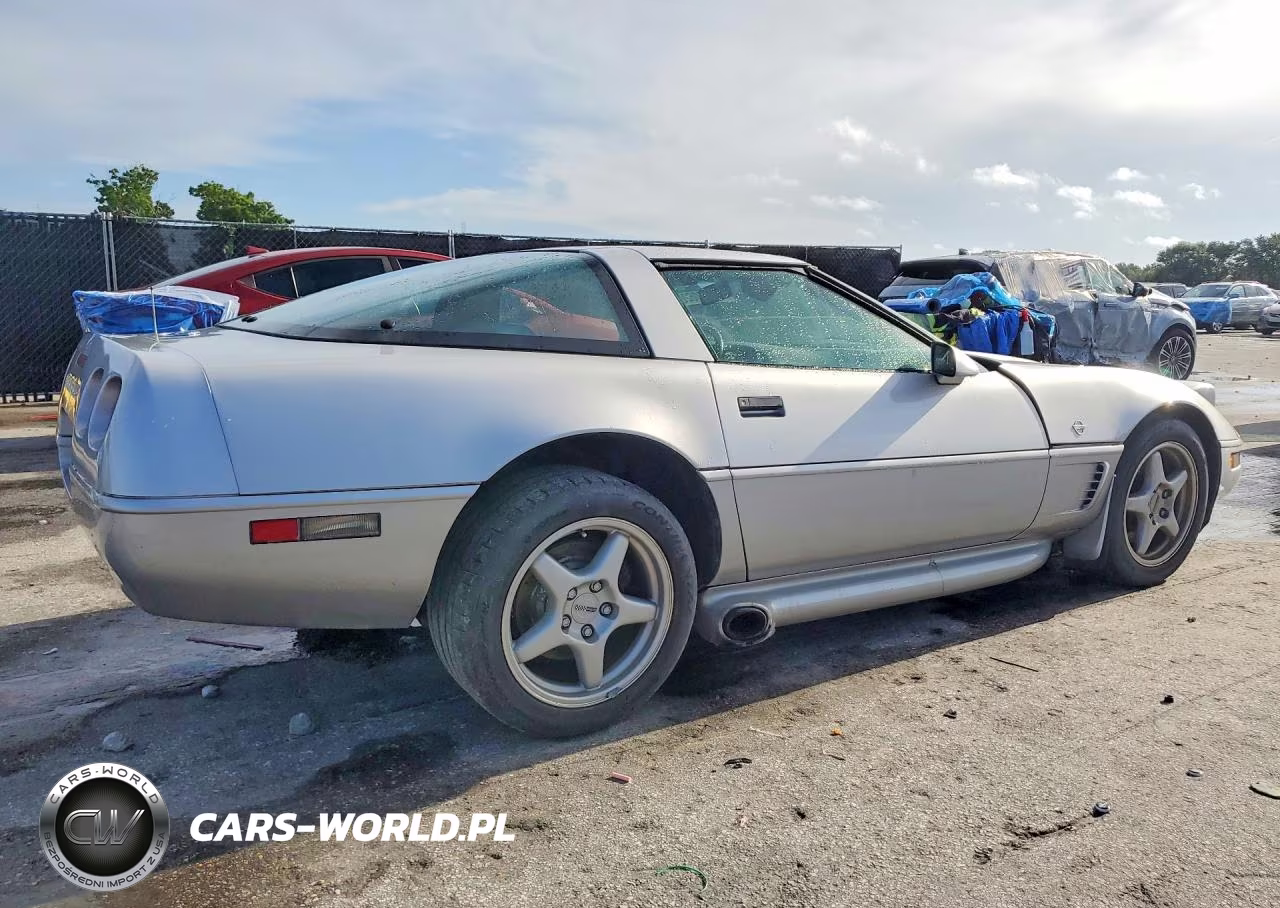 1996 Chevrolet Corvette VIN:1G1YY22P5T5106770 - 3