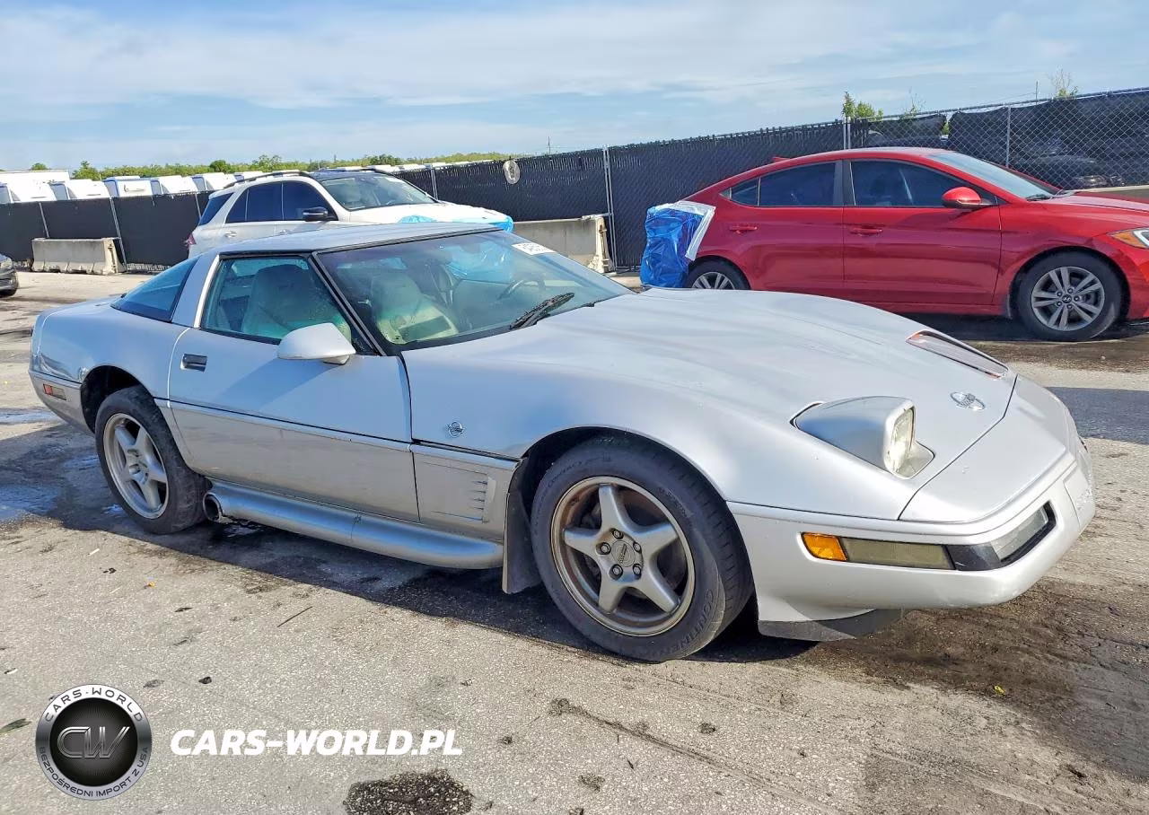1996 Chevrolet Corvette VIN:1G1YY22P5T5106770 - 4