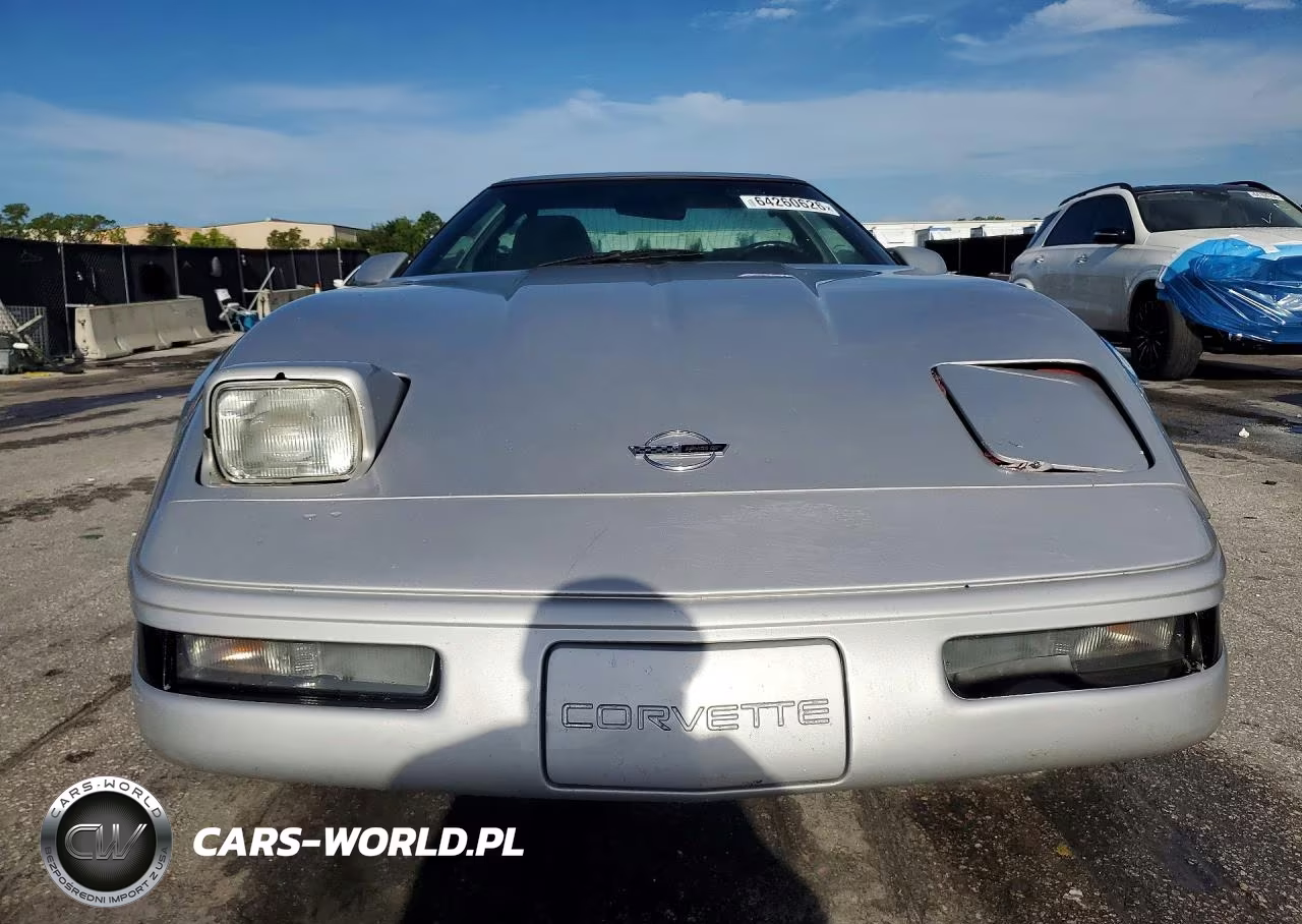 1996 Chevrolet Corvette VIN:1G1YY22P5T5106770 - 5