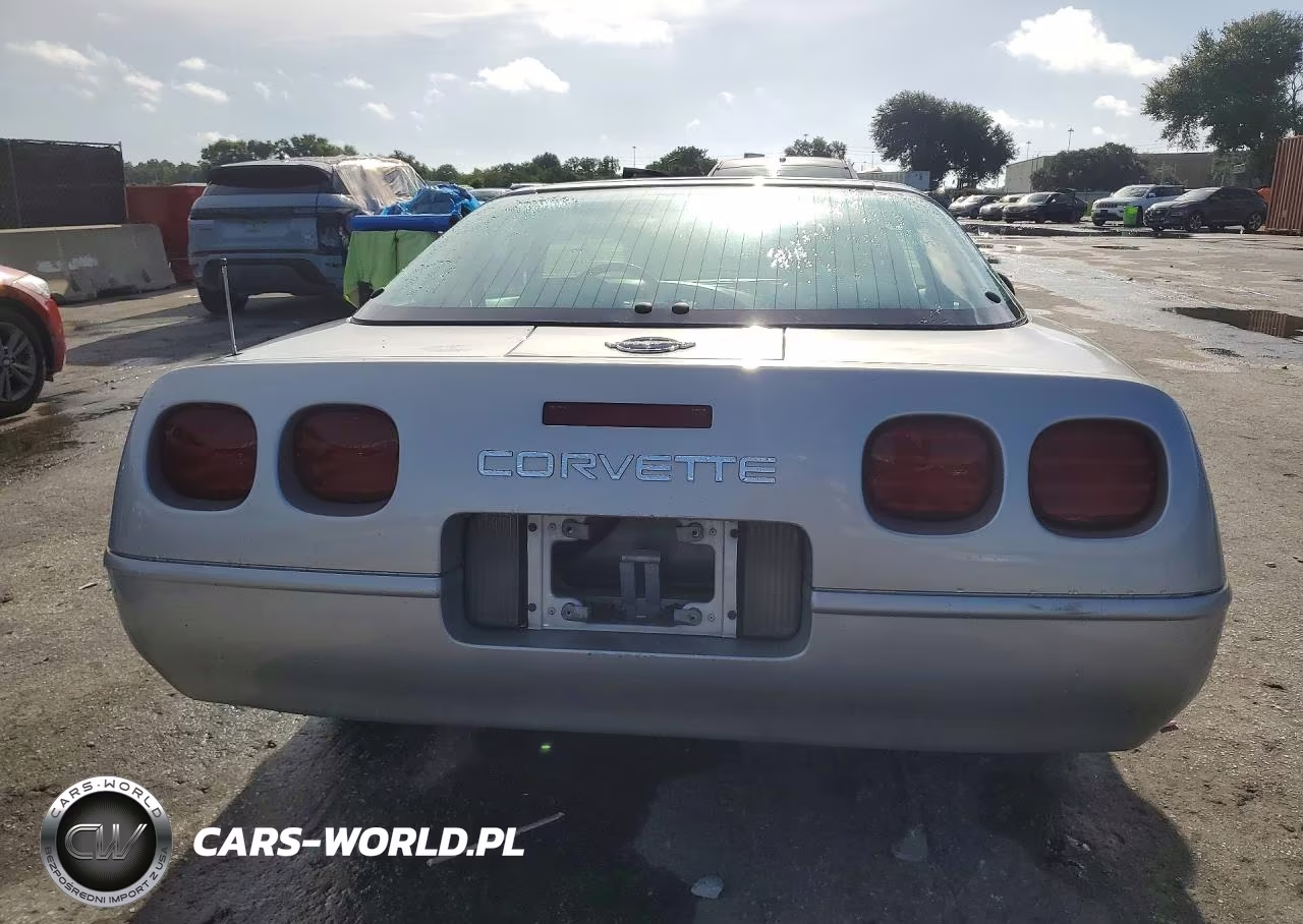 1996 Chevrolet Corvette VIN:1G1YY22P5T5106770 - 6