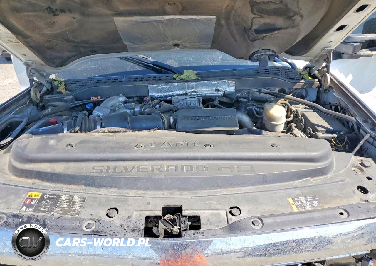 2017 Chevrolet Silverado K2500 Heavy Duty VIN:1GC1KUEY3HF165635 - 11