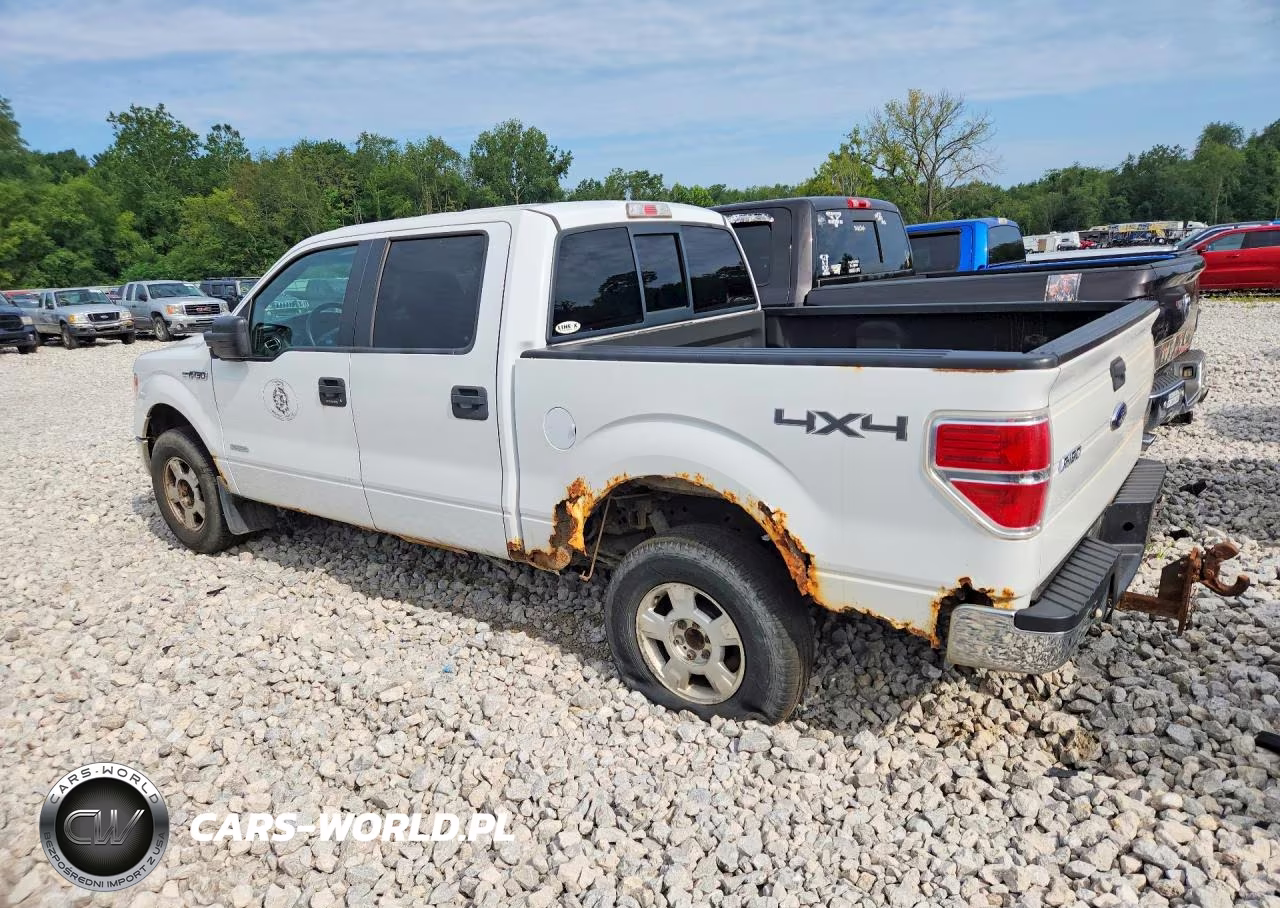 2013 Ford F150 Supercrew VIN:1FTFW1ET8DFB84513 - 2