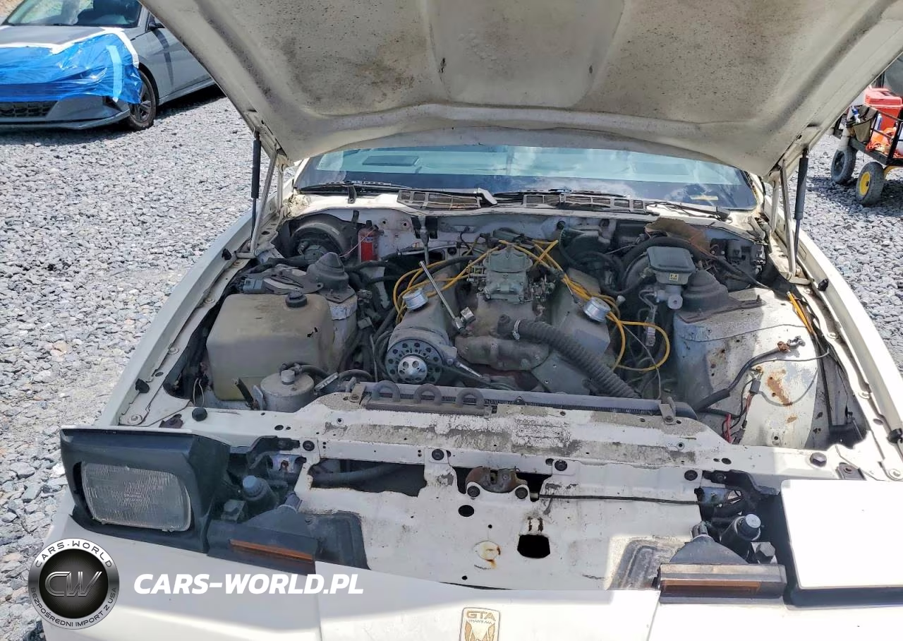 1989 Pontiac Firebird Trans Am VIN:1G2FW2184KL220210 - 11