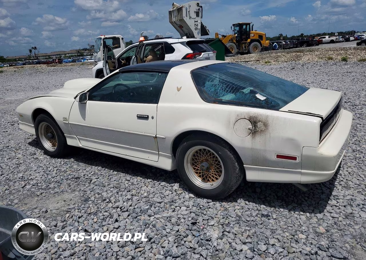 1989 Pontiac Firebird Trans Am VIN:1G2FW2184KL220210 - 2