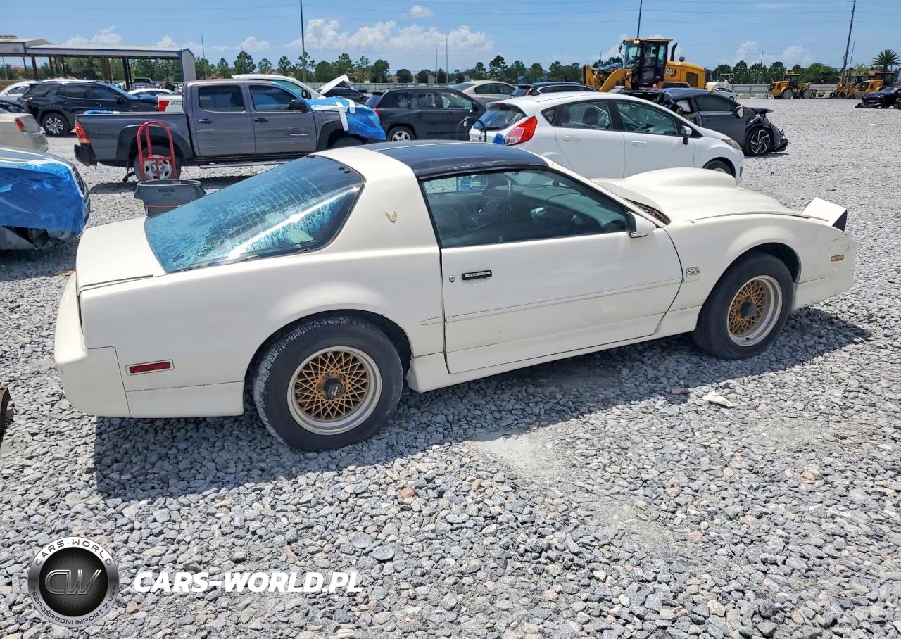 1989 Pontiac Firebird Trans Am VIN:1G2FW2184KL220210 - 3