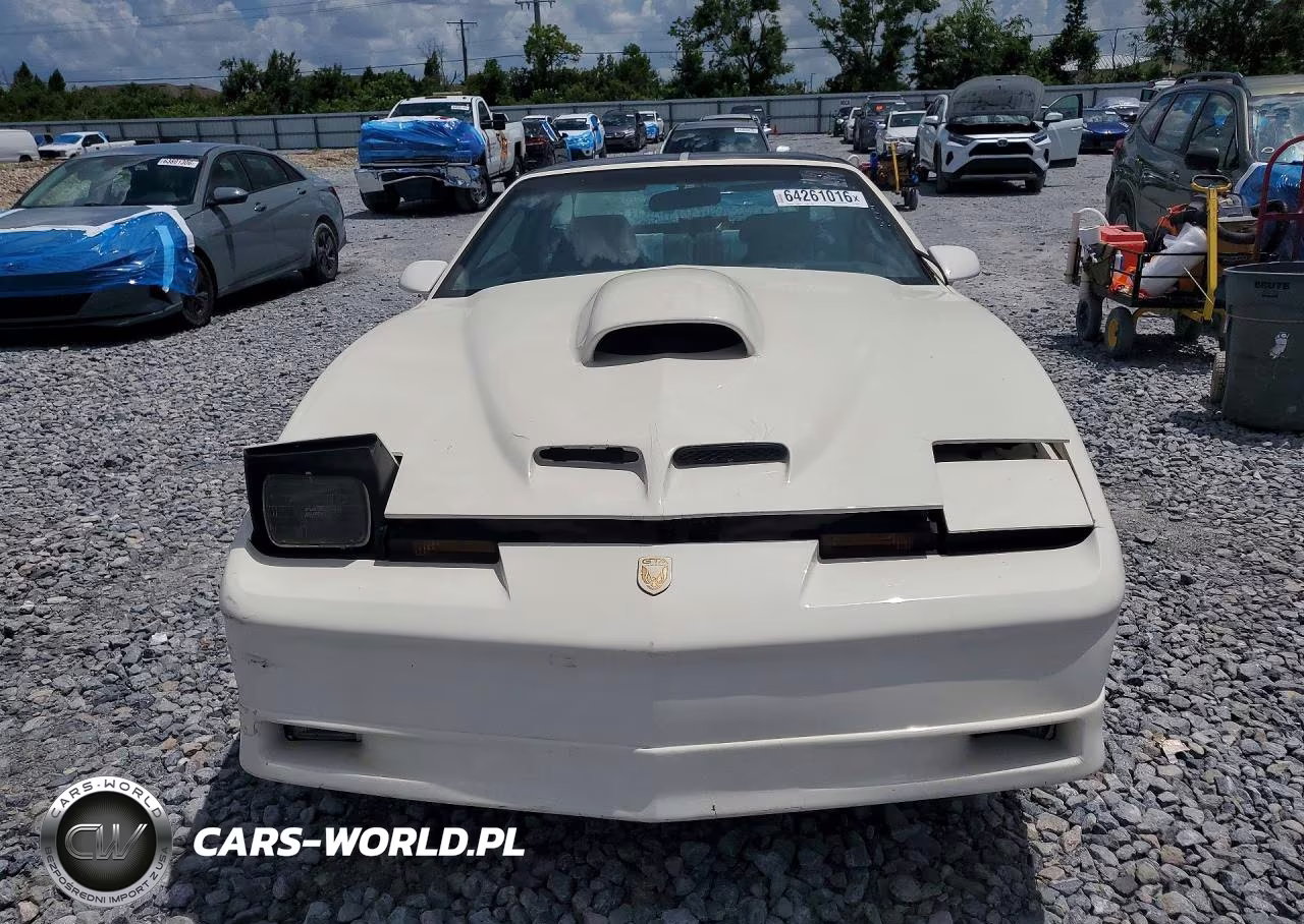 1989 Pontiac Firebird Trans Am VIN:1G2FW2184KL220210 - 5