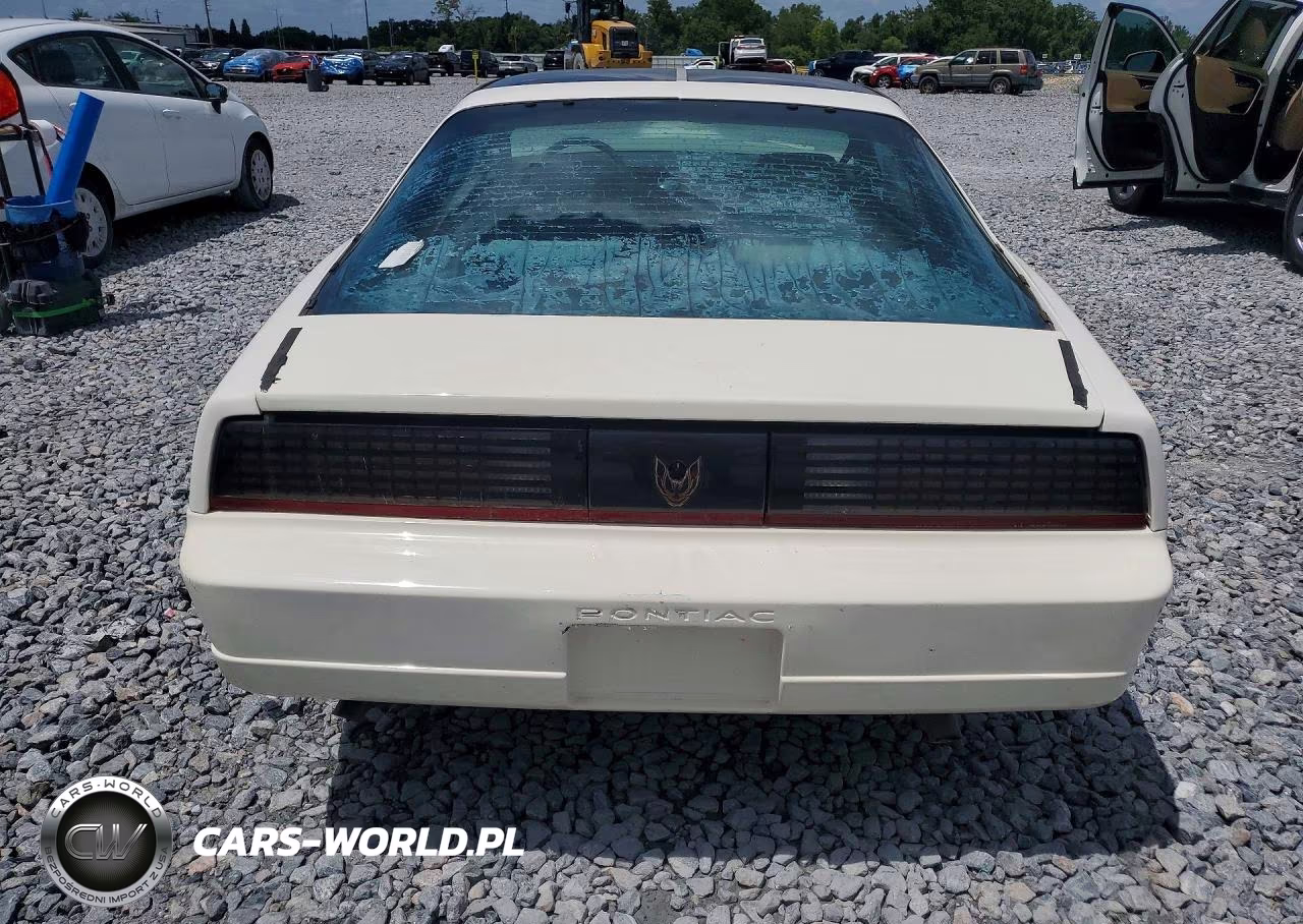 1989 Pontiac Firebird Trans Am VIN:1G2FW2184KL220210 - 6