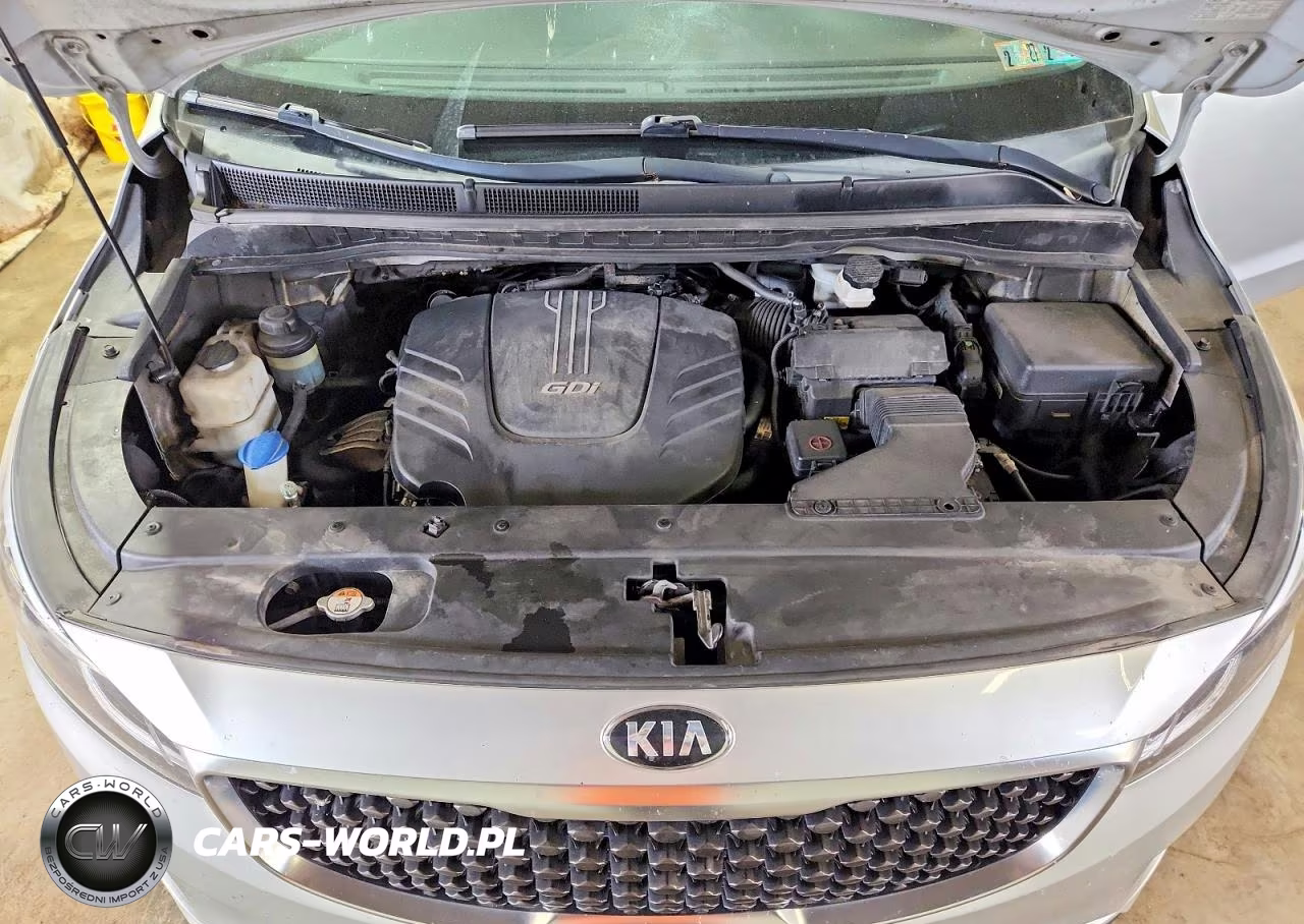 2016 Kia Sedona Lx VIN:KNDMB5C19G6178073 - 12