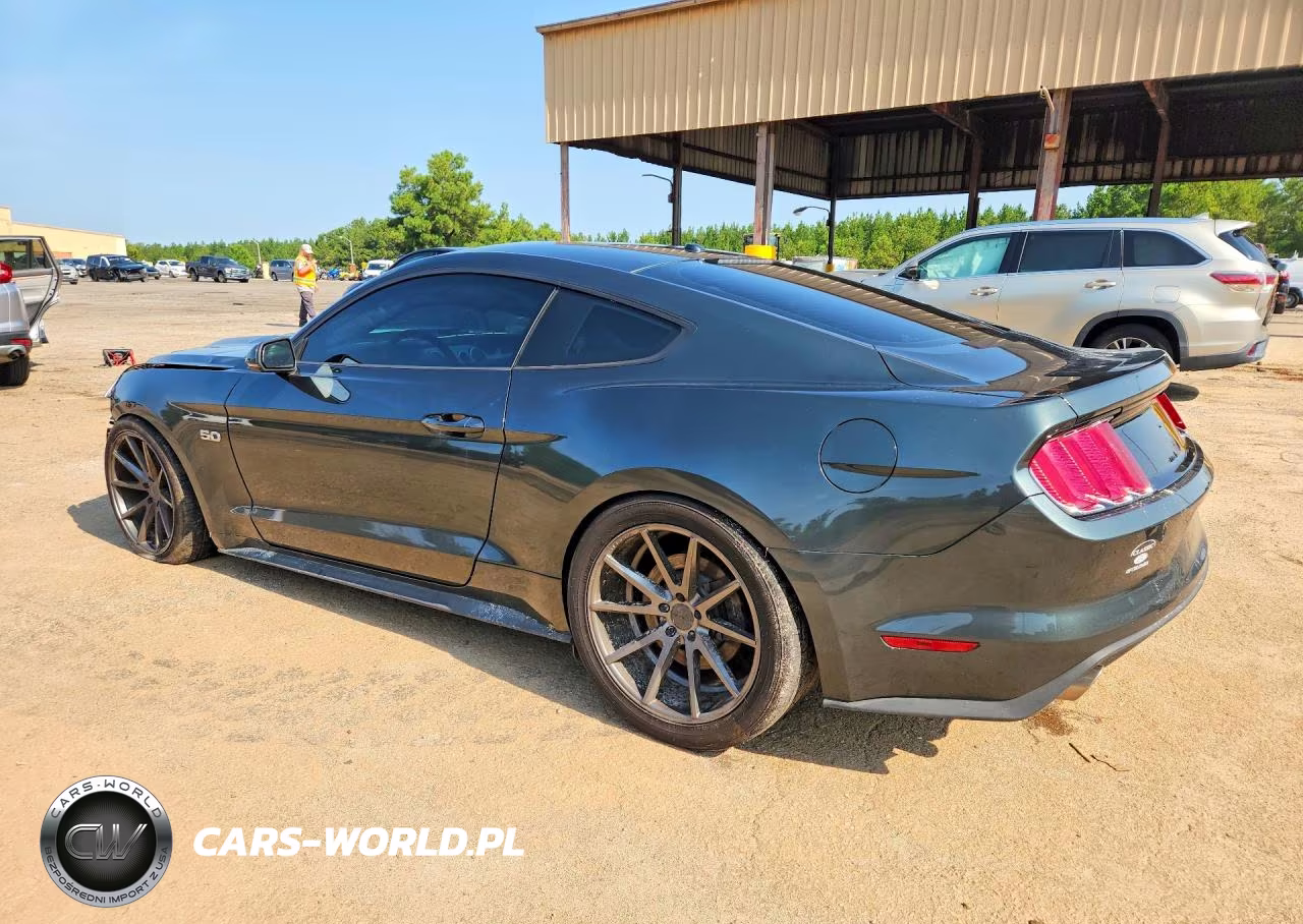 2015 Ford Mustang Gt VIN:1FA6P8CFXF5346613 - 2