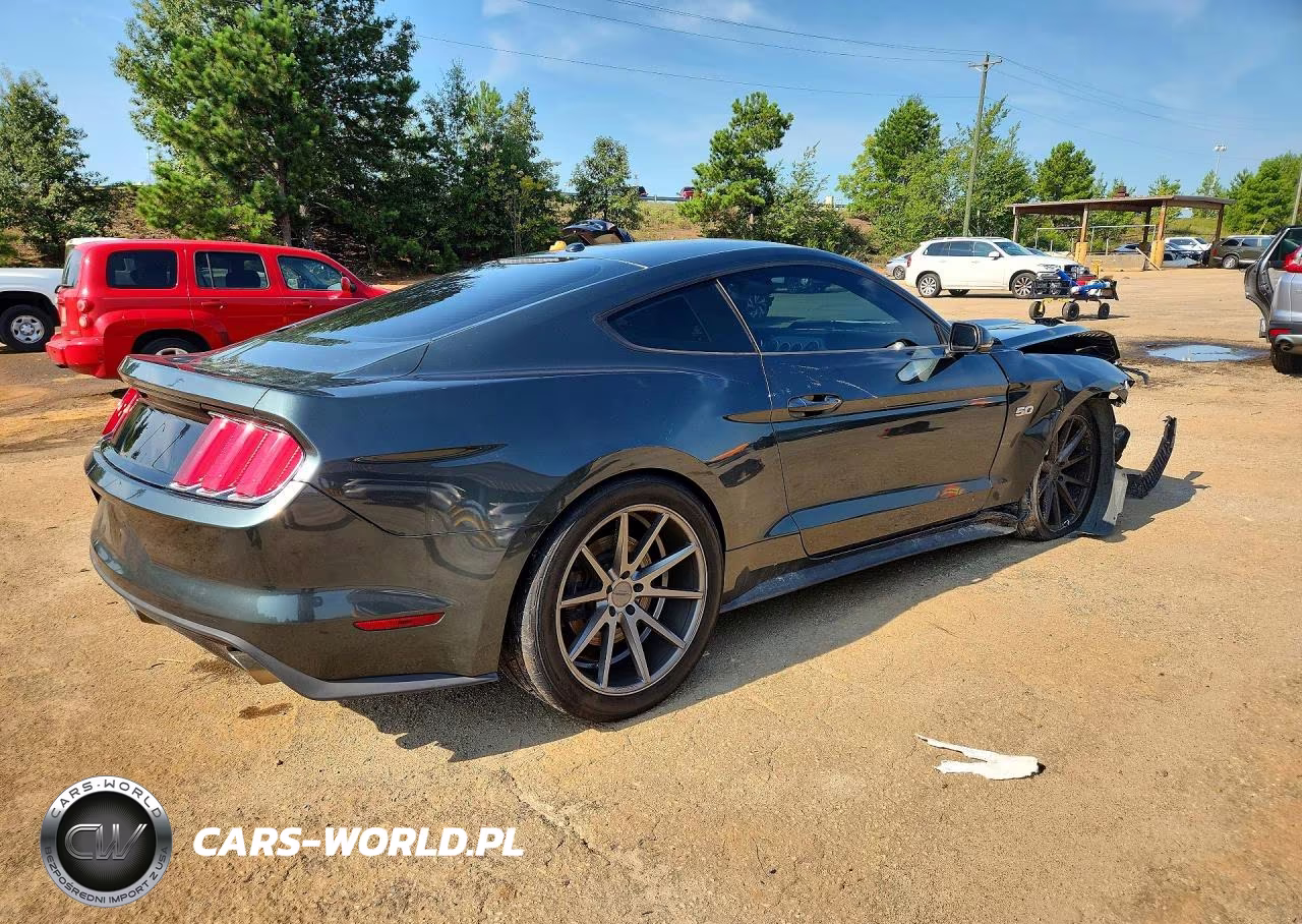 2015 Ford Mustang Gt VIN:1FA6P8CFXF5346613 - 3