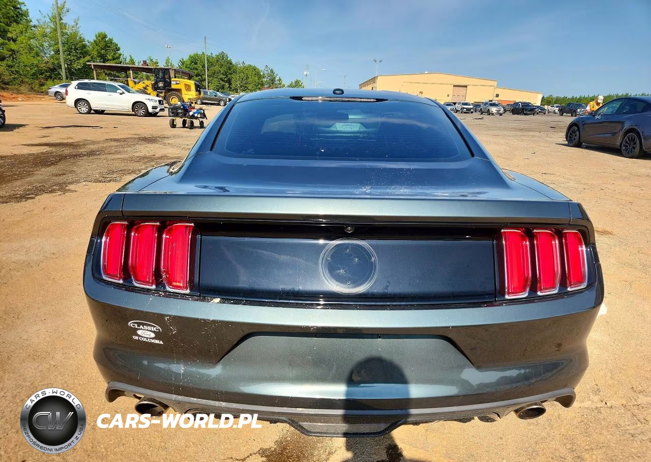 2015 Ford Mustang Gt VIN:1FA6P8CFXF5346613 - 6