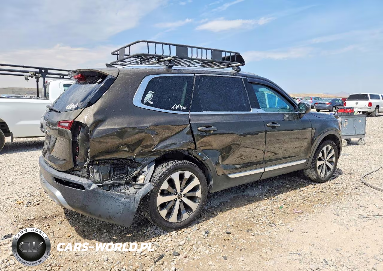 2022 Kia Telluride Ex VIN:5XYP3DHC9NG254478 - 3
