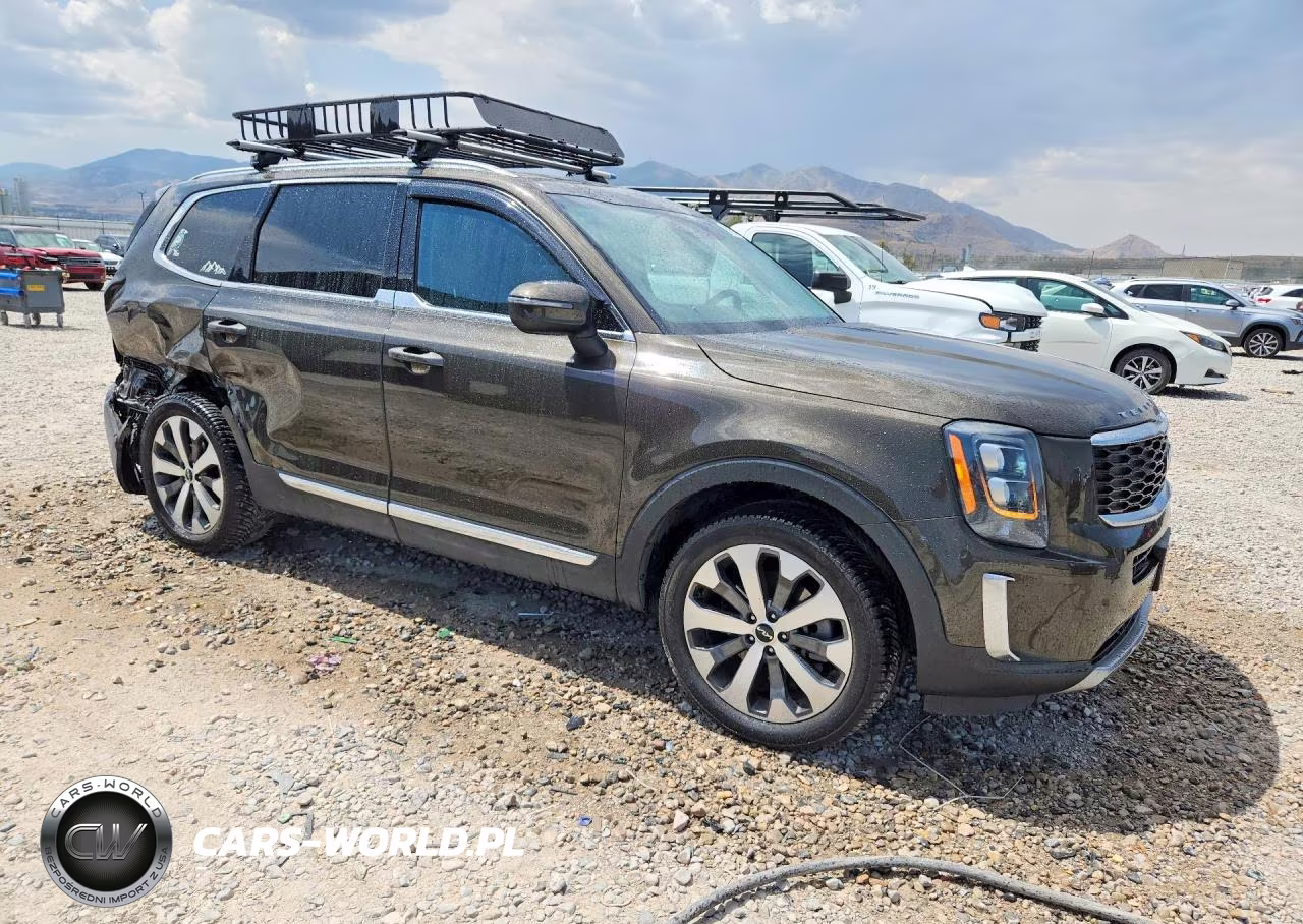 2022 Kia Telluride Ex VIN:5XYP3DHC9NG254478 - 4