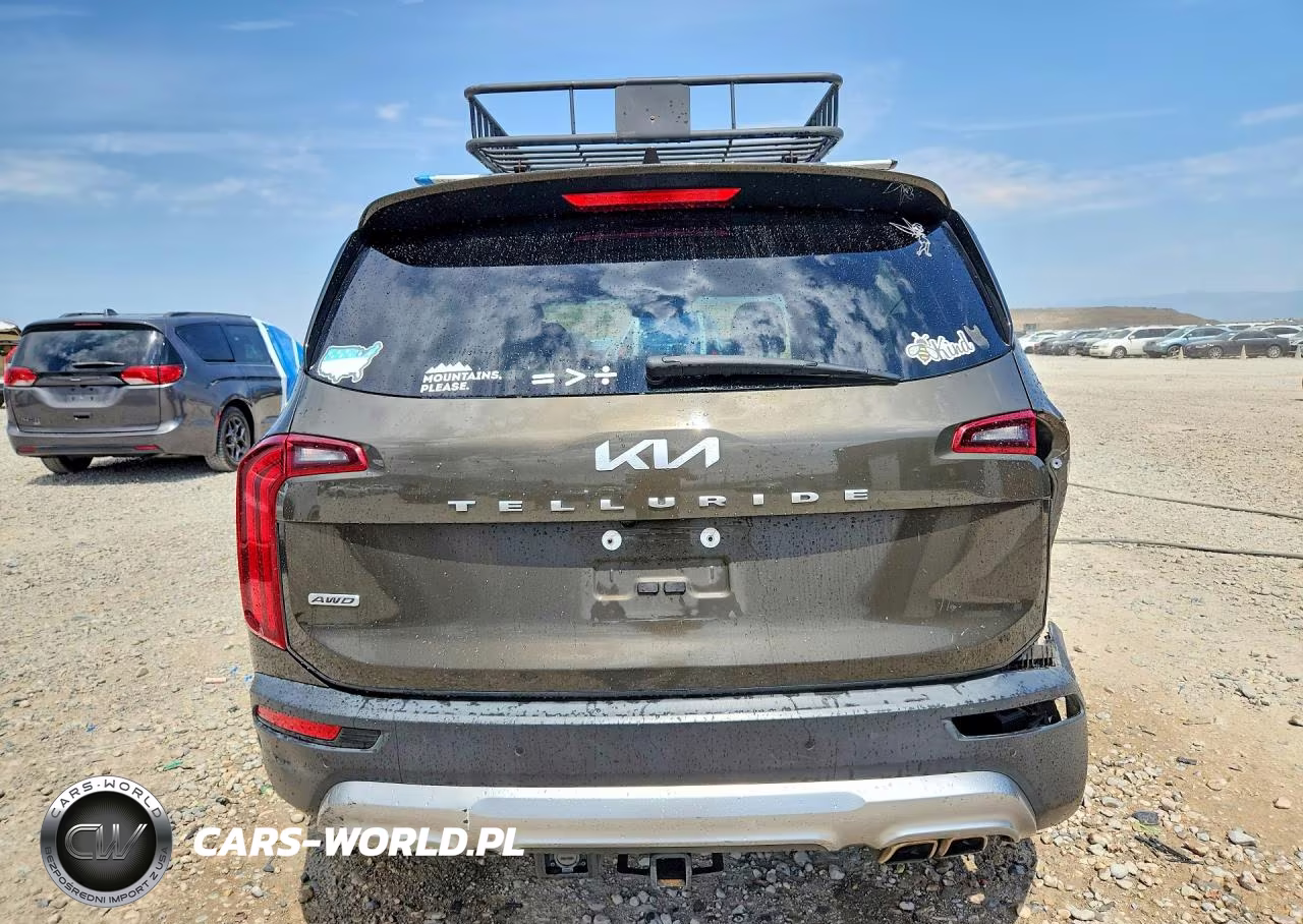 2022 Kia Telluride Ex VIN:5XYP3DHC9NG254478 - 6