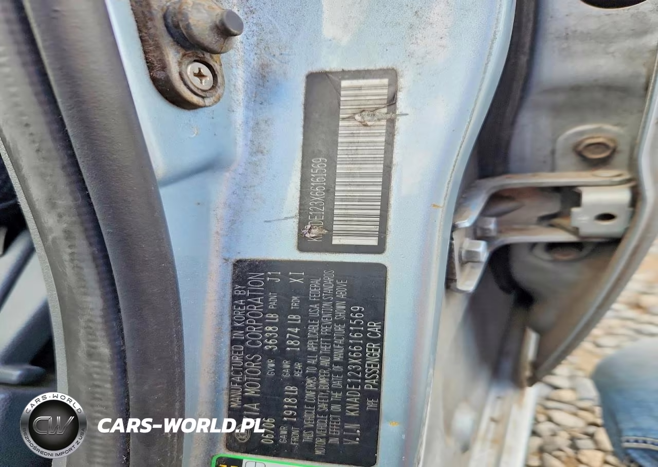 2006 Kia Rio Base VIN:KNADE123X66161569 - 12